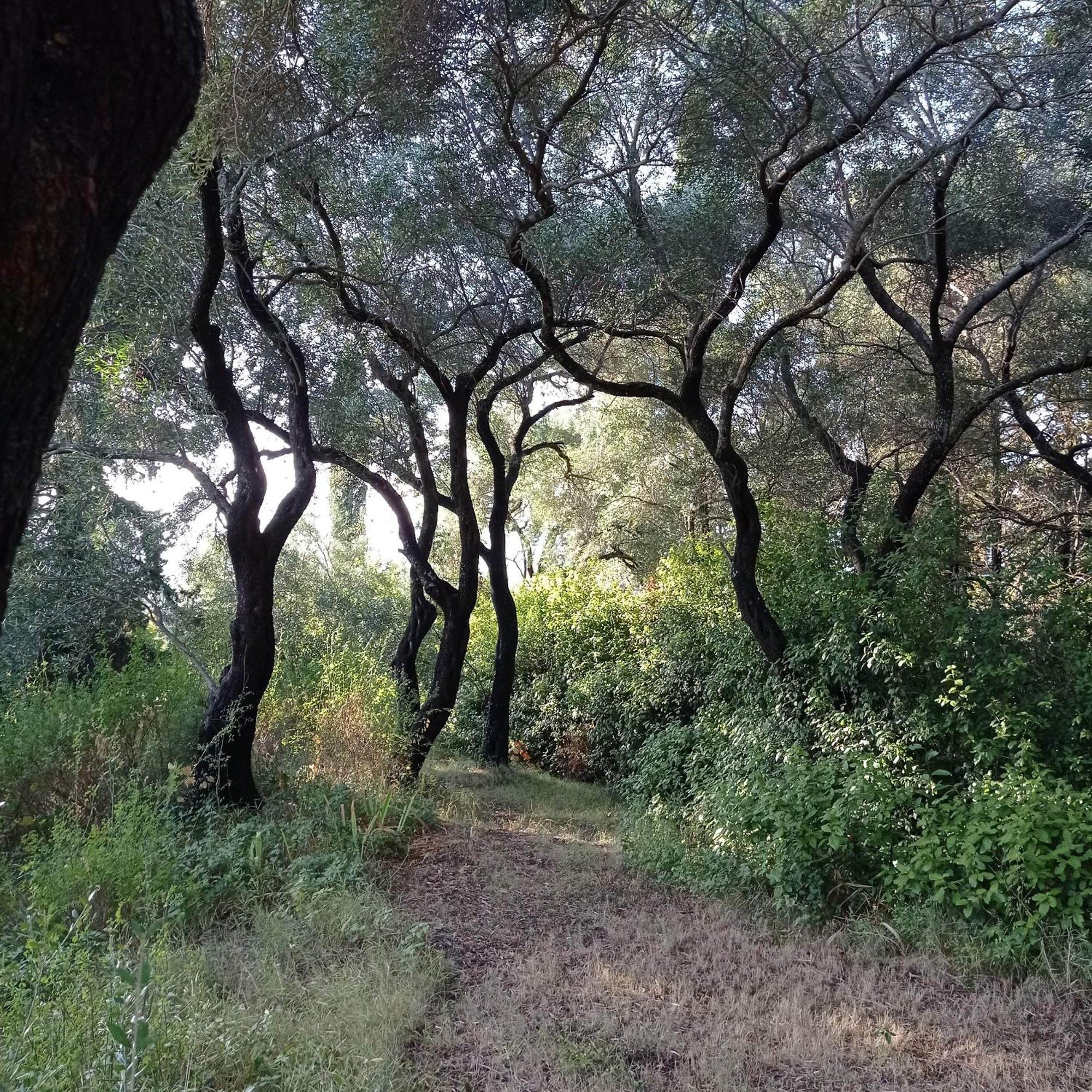 Villa Kefalomandouko Αλεπού Εξωτερικό φωτογραφία