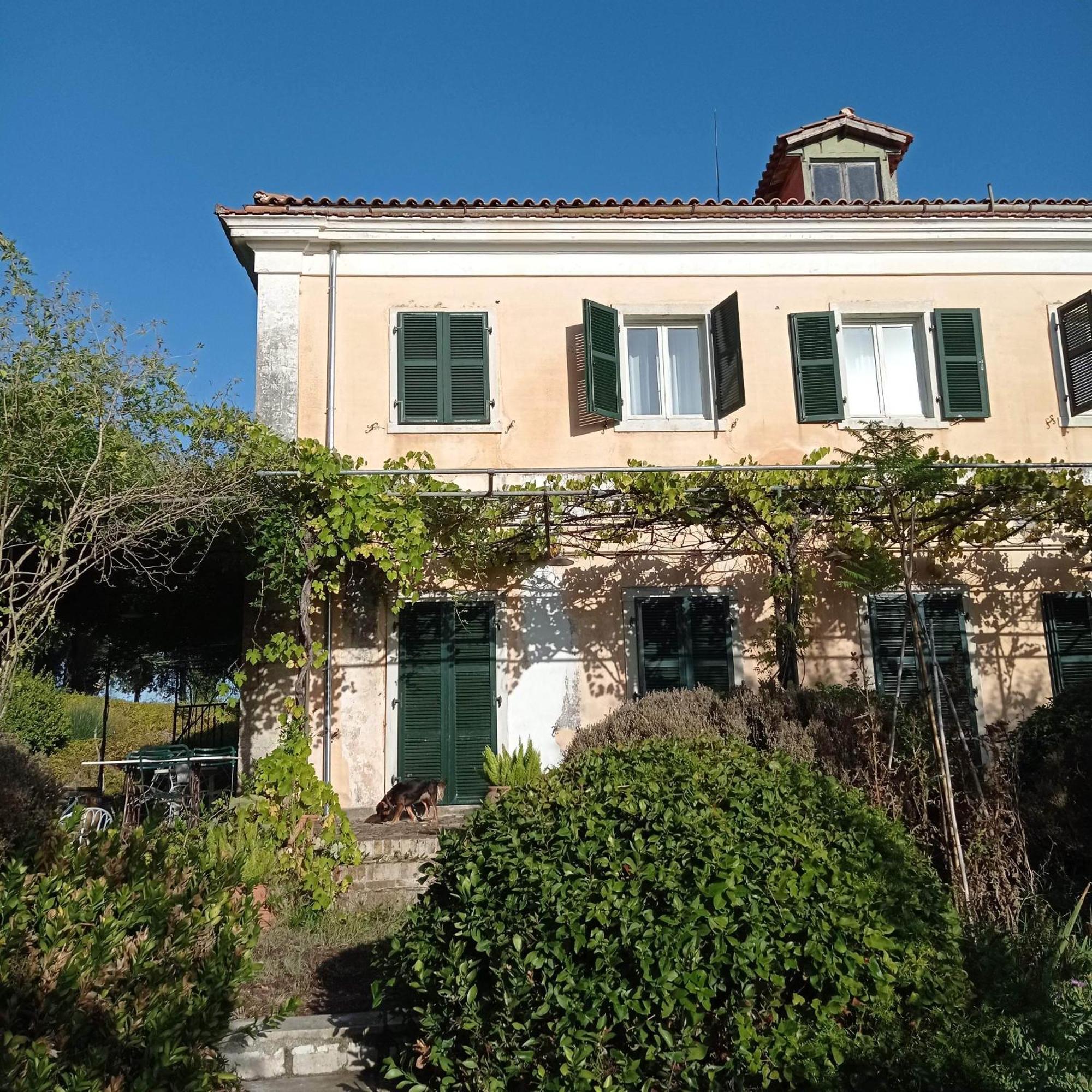 Villa Kefalomandouko Αλεπού Εξωτερικό φωτογραφία